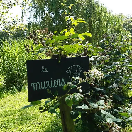 Château Saint Gilles - Bayeux