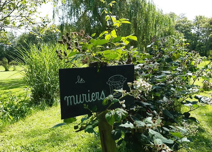 Chateau Saint Gilles - Bayeux