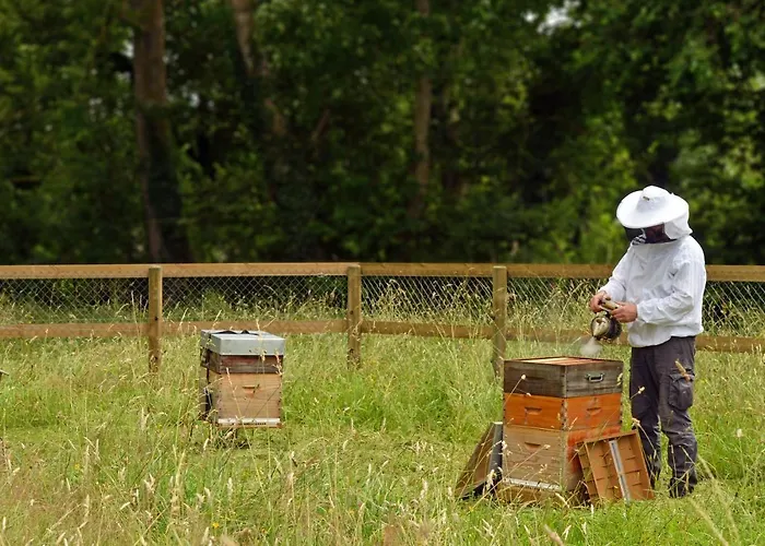 Chateau Saint Gilles - Bayeux מלון 4*