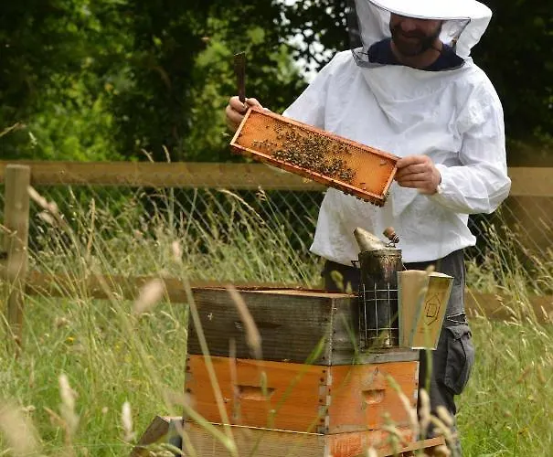 Chateau Saint Gilles - Bayeux מלון 4*